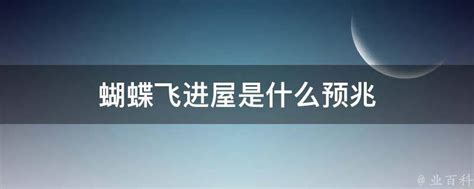 蝴蝶进家 意思|蝴蝶飞进家里预示什么？